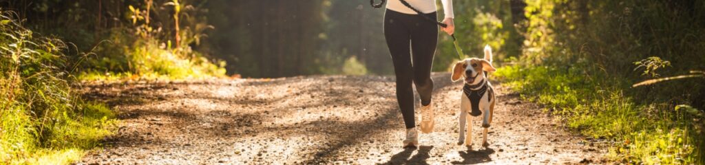 Elite-Sports-Physio-and-Massage-Chilliwack-BC